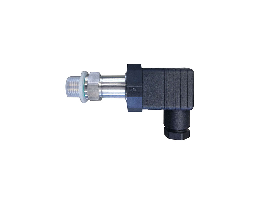 IMG_D_P 10_(BIG).jpg